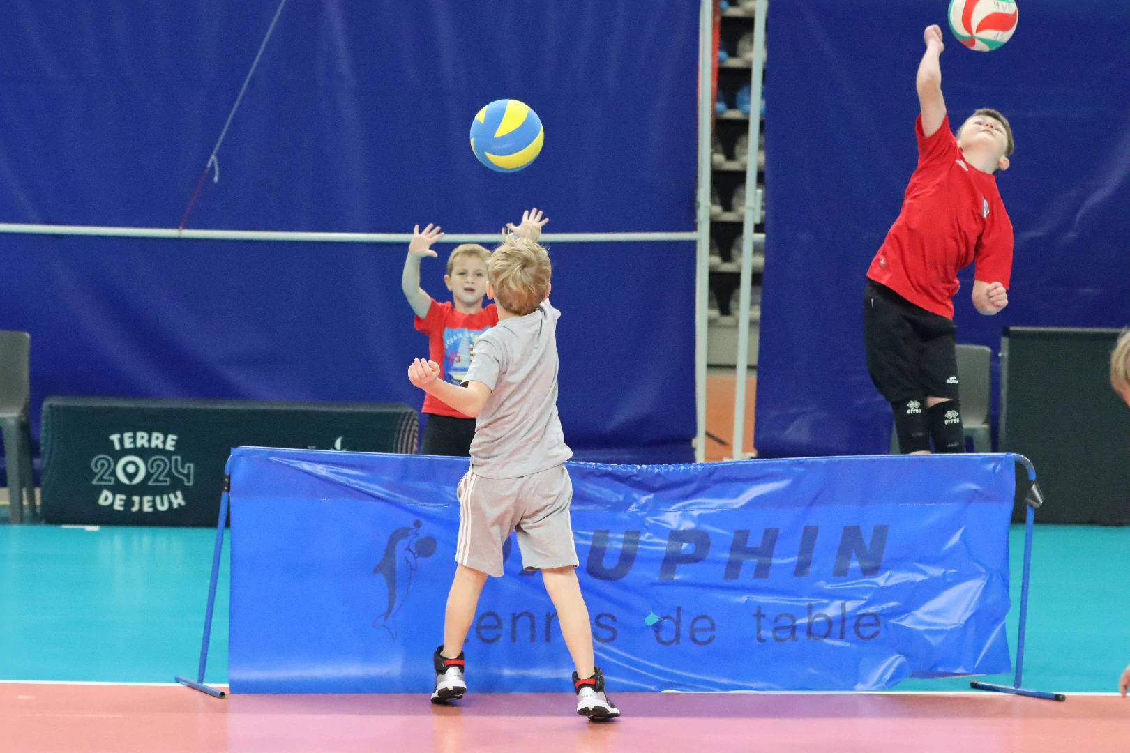 École de volley – Harnes Volley-Ball (4)