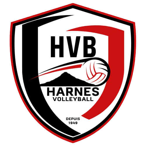 Blason logo harnes volleyball 2024